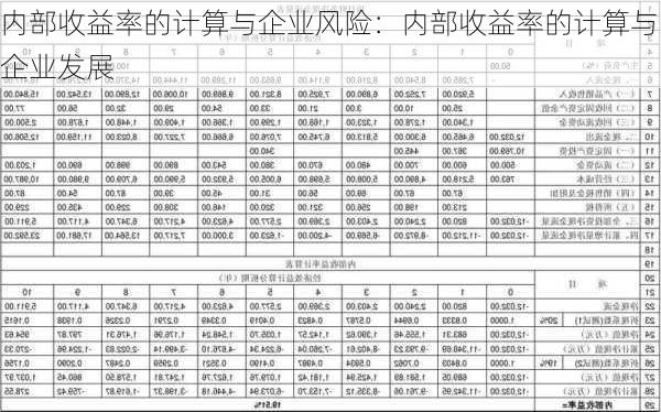 内部收益率的计算与企业风险：内部收益率的计算与企业发展