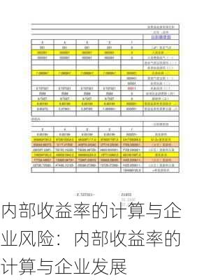 内部收益率的计算与企业风险：内部收益率的计算与企业发展