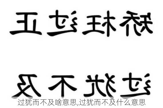 过犹而不及啥意思,过犹而不及什么意思