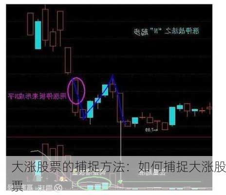 大涨股票的捕捉方法：如何捕捉大涨股票