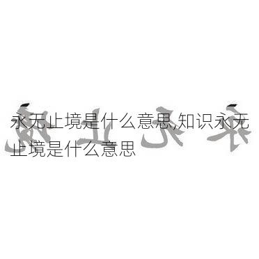 永无止境是什么意思,知识永无止境是什么意思