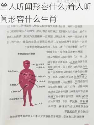 耸人听闻形容什么,耸人听闻形容什么生肖