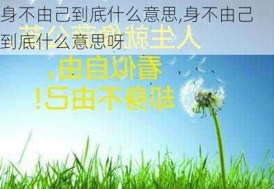 身不由己到底什么意思,身不由己到底什么意思呀