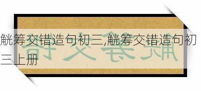 觥筹交错造句初三,觥筹交错造句初三上册