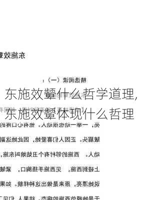 东施效颦什么哲学道理,东施效颦体现什么哲理