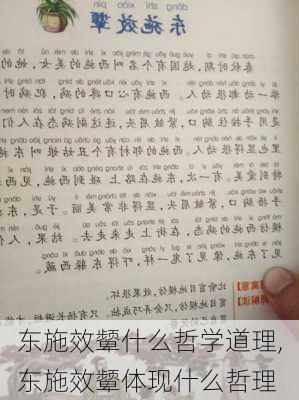 东施效颦什么哲学道理,东施效颦体现什么哲理