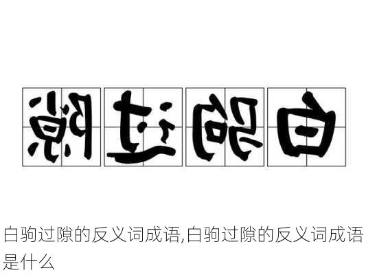 白驹过隙的反义词成语,白驹过隙的反义词成语是什么