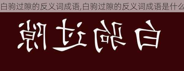 白驹过隙的反义词成语,白驹过隙的反义词成语是什么