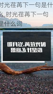 时光荏苒下一句是什么,时光荏苒下一句是什么词