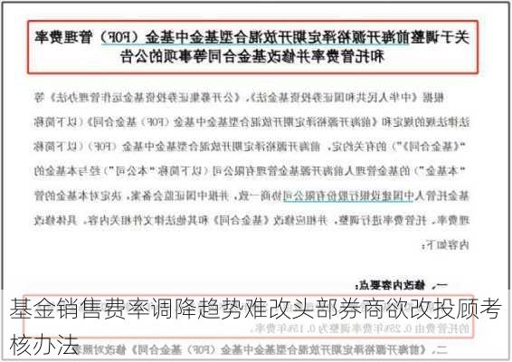 基金销售费率调降趋势难改头部券商欲改投顾考核办法