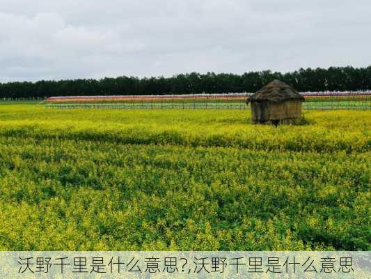 沃野千里是什么意思?,沃野千里是什么意思