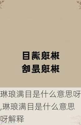 琳琅满目是什么意思呀,琳琅满目是什么意思呀解释