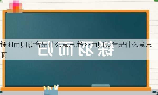 铩羽而归读音是什么意思,铩羽而归读音是什么意思啊