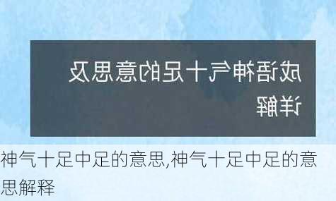 神气十足中足的意思,神气十足中足的意思解释