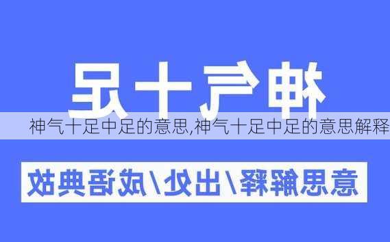 神气十足中足的意思,神气十足中足的意思解释