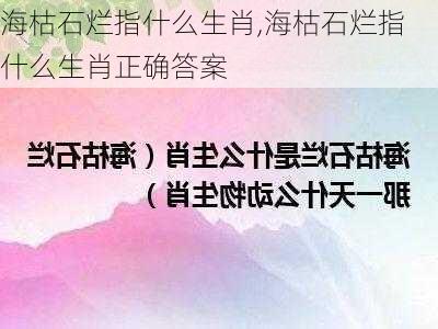 海枯石烂指什么生肖,海枯石烂指什么生肖正确答案