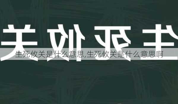 生死攸关是什么意思,生死攸关是什么意思啊