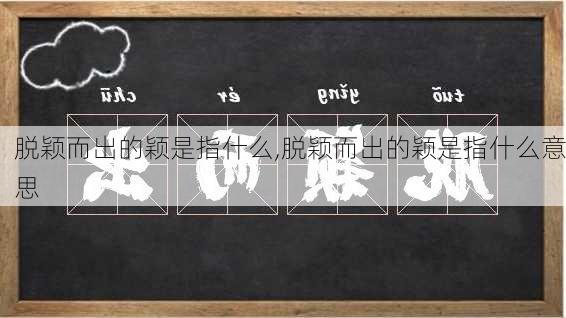 脱颖而出的颖是指什么,脱颖而出的颖是指什么意思