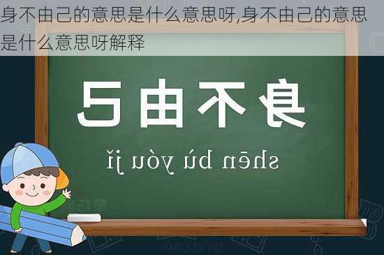 身不由己的意思是什么意思呀,身不由己的意思是什么意思呀解释