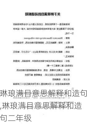 琳琅满目意思解释和造句,琳琅满目意思解释和造句二年级