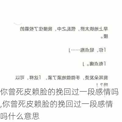 你曾死皮赖脸的挽回过一段感情吗,你曾死皮赖脸的挽回过一段感情吗什么意思