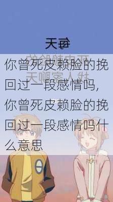 你曾死皮赖脸的挽回过一段感情吗,你曾死皮赖脸的挽回过一段感情吗什么意思