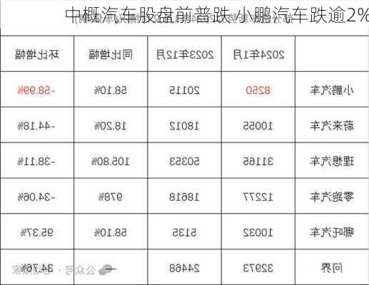 中概汽车股盘前普跌 小鹏汽车跌逾2%