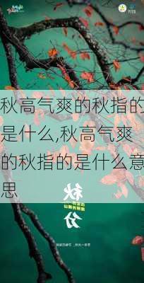 秋高气爽的秋指的是什么,秋高气爽的秋指的是什么意思