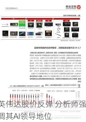 英伟达股价反弹 分析师强调其AI领导地位