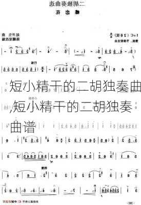 短小精干的二胡独奏曲,短小精干的二胡独奏曲谱