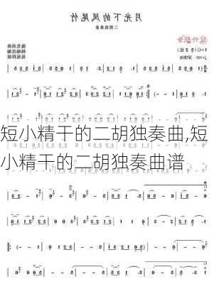 短小精干的二胡独奏曲,短小精干的二胡独奏曲谱