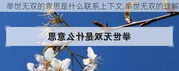 举世无双的意思是什么联系上下文,举世无双的理解