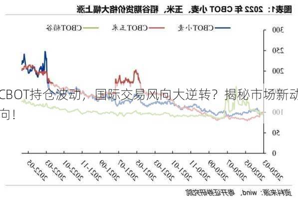 CBOT持仓波动，国际交易风向大逆转？揭秘市场新动向！