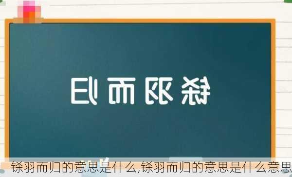 铩羽而归的意思是什么,铩羽而归的意思是什么意思