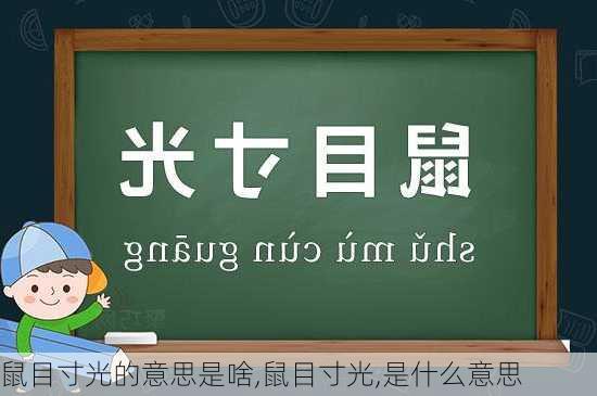 鼠目寸光的意思是啥,鼠目寸光,是什么意思