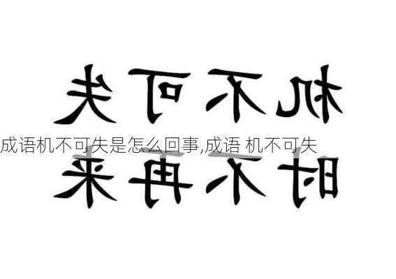 成语机不可失是怎么回事,成语 机不可失