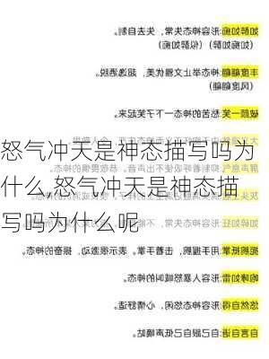 怒气冲天是神态描写吗为什么,怒气冲天是神态描写吗为什么呢