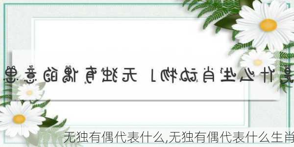 无独有偶代表什么,无独有偶代表什么生肖