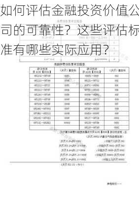 如何评估金融投资价值公司的可靠性？这些评估标准有哪些实际应用？