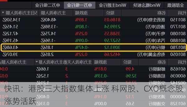 快讯：港股三大指数集体上涨 科网股、CXO概念股涨势活跃