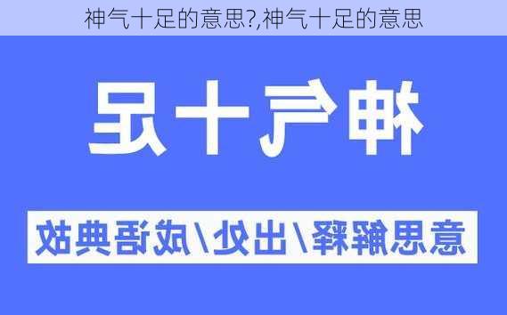 神气十足的意思?,神气十足的意思