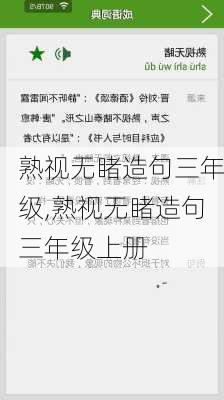 熟视无睹造句三年级,熟视无睹造句三年级上册