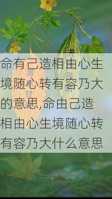 命有己造相由心生境随心转有容乃大的意思,命由己造相由心生境随心转有容乃大什么意思