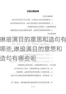 琳琅满目的意思和造句有哪些,琳琅满目的意思和造句有哪些呢