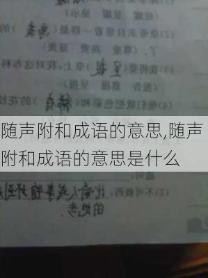 随声附和成语的意思,随声附和成语的意思是什么