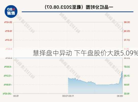 慧择盘中异动 下午盘股价大跌5.09%