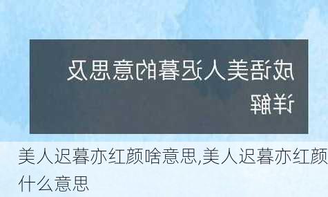 美人迟暮亦红颜啥意思,美人迟暮亦红颜什么意思