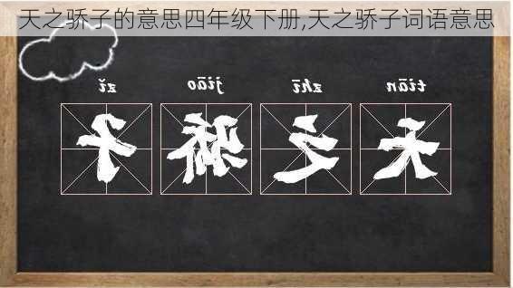 天之骄子的意思四年级下册,天之骄子词语意思