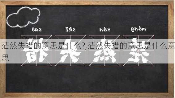 茫然失措的意思是什么?,茫然失措的意思是什么意思