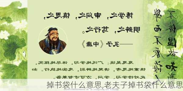 掉书袋什么意思,老夫子掉书袋什么意思